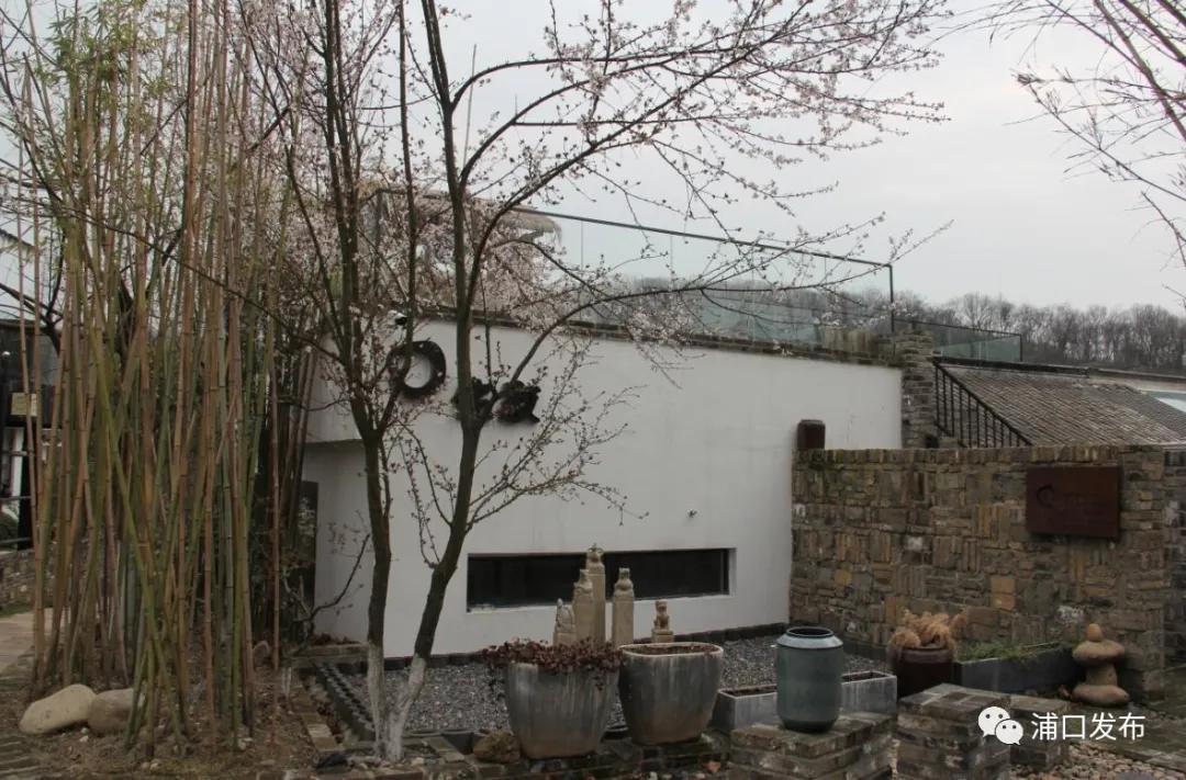 浦口花,南京看花的地方浦口