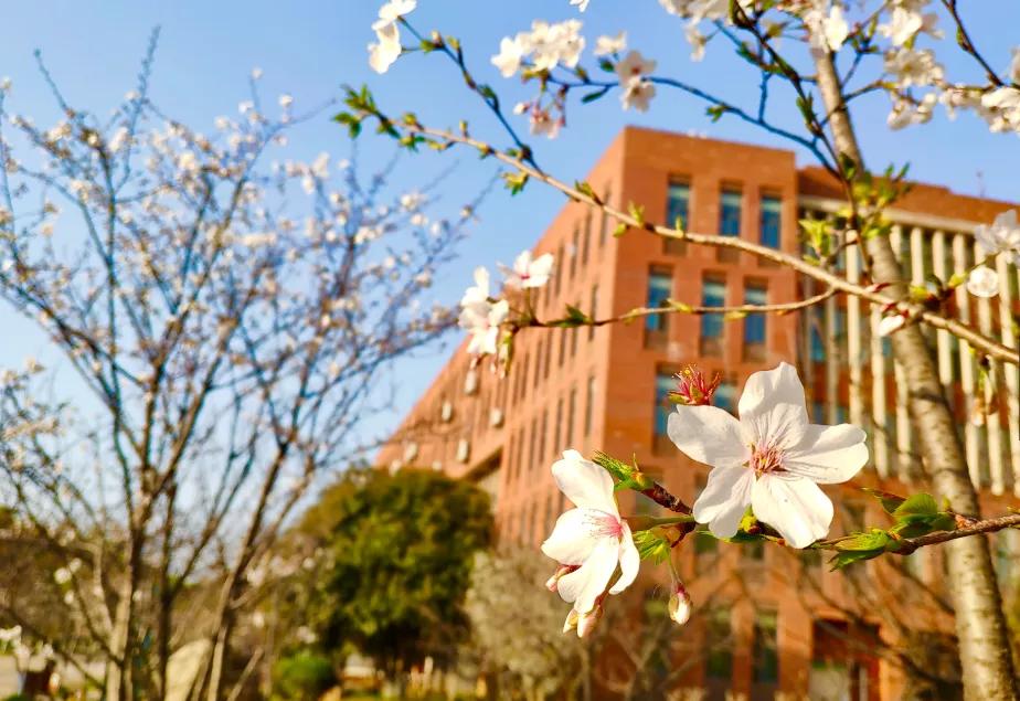 武汉外语外事职业学院出国,在武汉外语外事职业学院上学