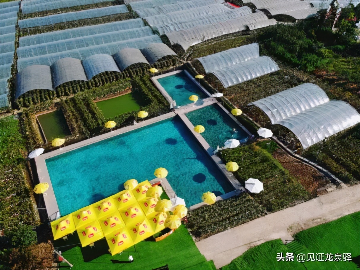 龙泉驿区都有哪些村,龙泉驿村