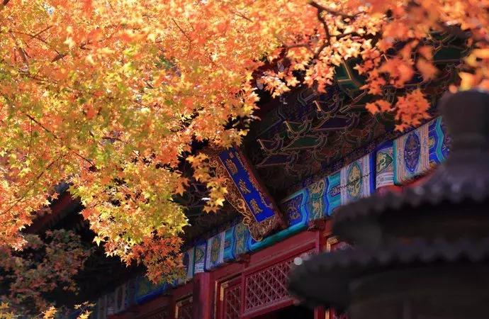 中国100条旅游线,全国15条最佳自驾游线路