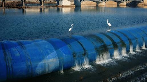 汇聚磅礴力量彰显使命担当——奋力开创凉州经济社会高质量发展新局面