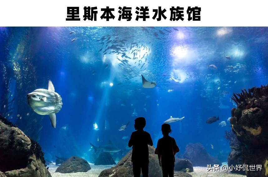 全球最大的三个大型水族馆,世界最著名的淡水水族馆