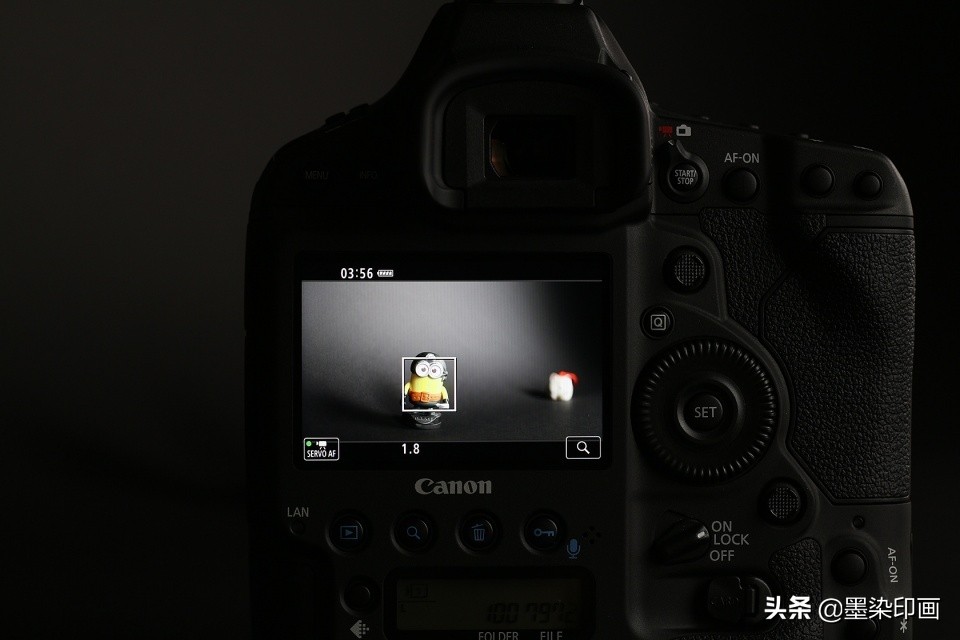 拍摄参数与技巧完全剖析微距摄影,微距拍摄技巧图片大全