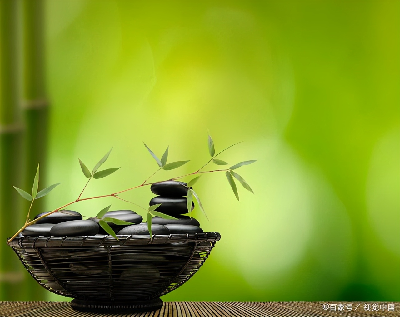 关于熊猫吃竹子的诗句,熊猫吃竹子的诗句