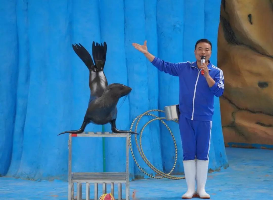 金牛湖野生动物王国过年去怎么样,金牛湖野生动物王国游玩时间