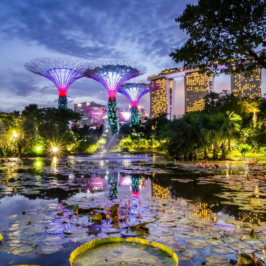 新加坡国家发展理念,新加坡国家愿景