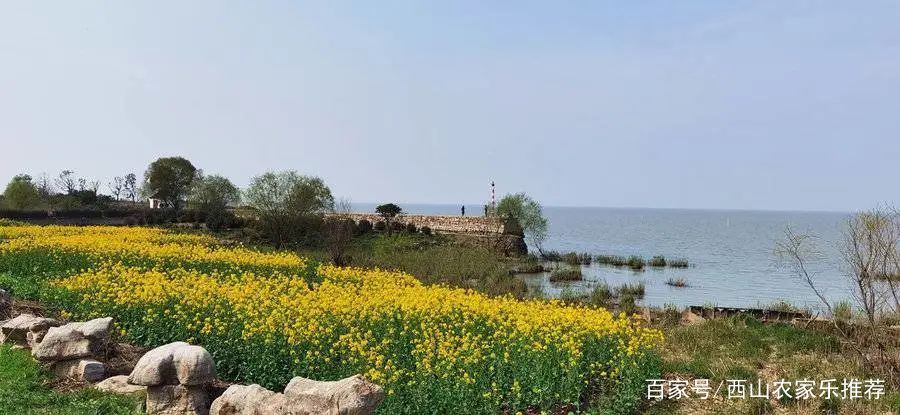 苏州西山网红打卡地樱花,苏州西山风景区有什么好玩的地方