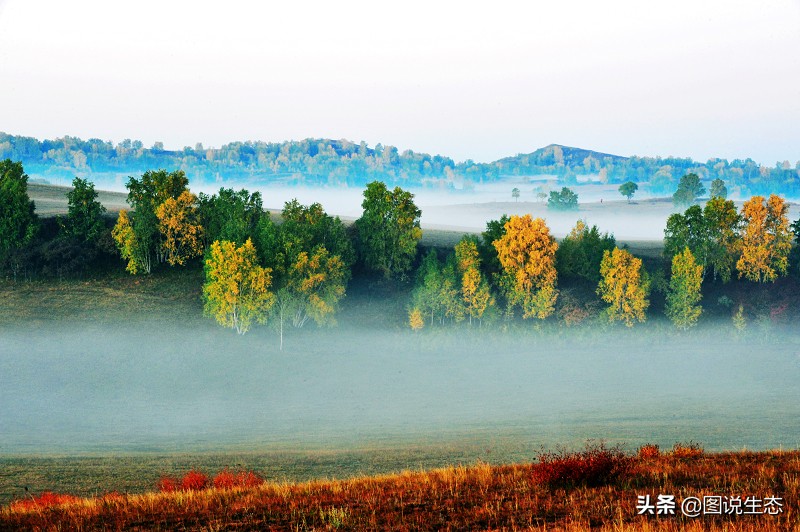 一口气看完塞罕坝全篇,参观塞罕坝有感1000字
