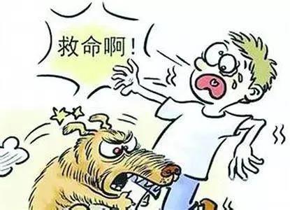 恶犬扑过来怎么办,恶犬攻击如何自救