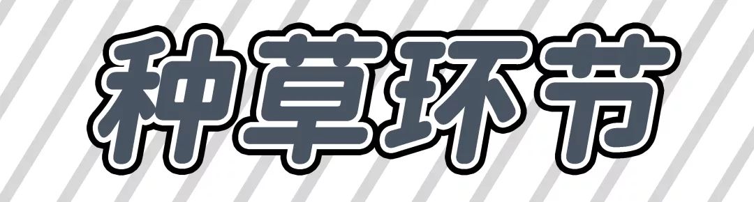 欧阳娜娜同款平价好物,欧阳娜娜杨幂