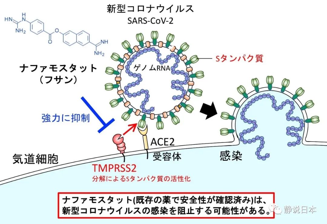 日本药品仓库,日本仓库在哪里