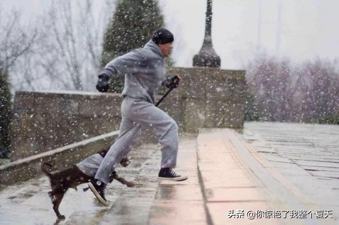 你所看到的惊艳都曾被平庸历练,你所看到的惊艳都曾被平庸历练过