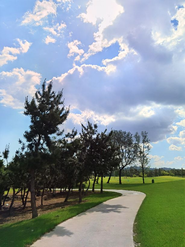 威海威高广场,威海威高医用高分子有限公司