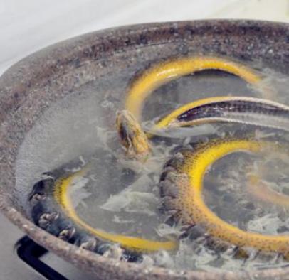 黄鳝怎么做最好吃又能去掉寄生虫,黄鳝去滑的简单方法