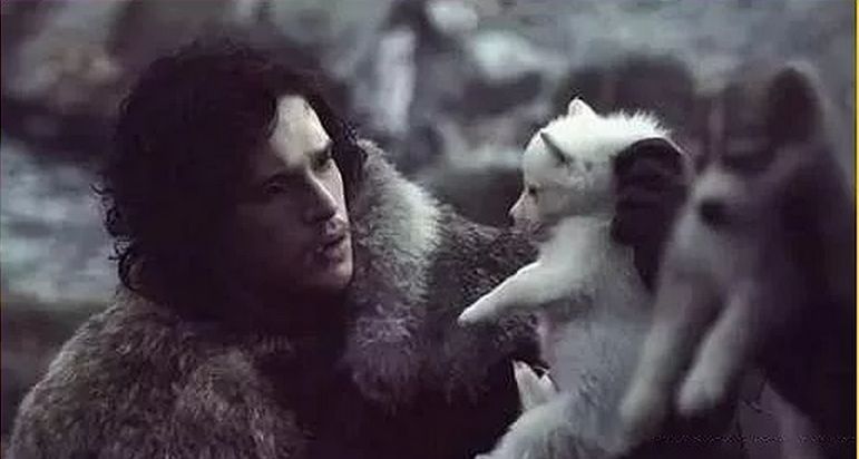 权游烂尾,关于权游烂尾的评价