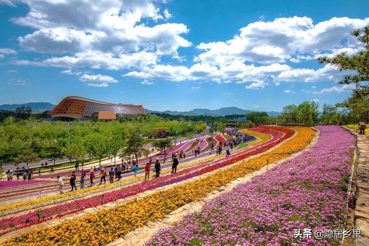 亲子京郊游红叶,国庆去北京看红叶攻略