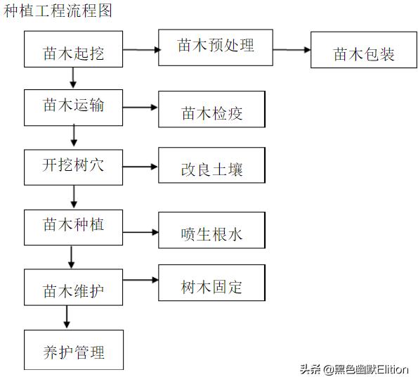 绿化技巧视频,绿化施工安全措施