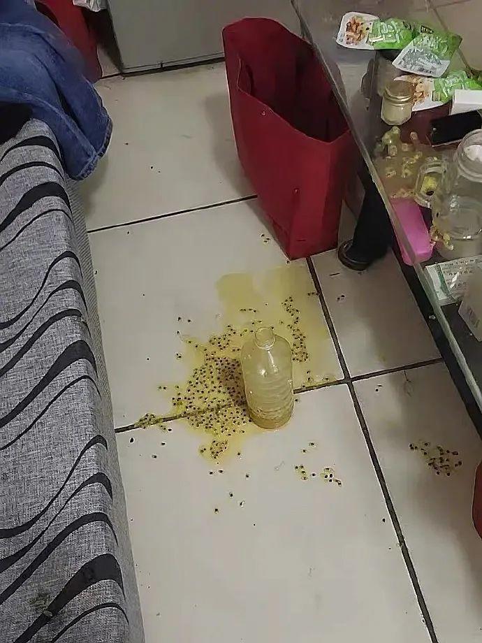 百香果的威力有多强,百香果果酱爆炸威力