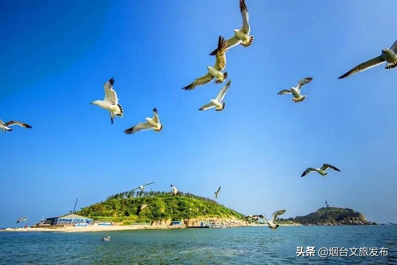 烟台长岛十一假期,十一假期玩转长岛