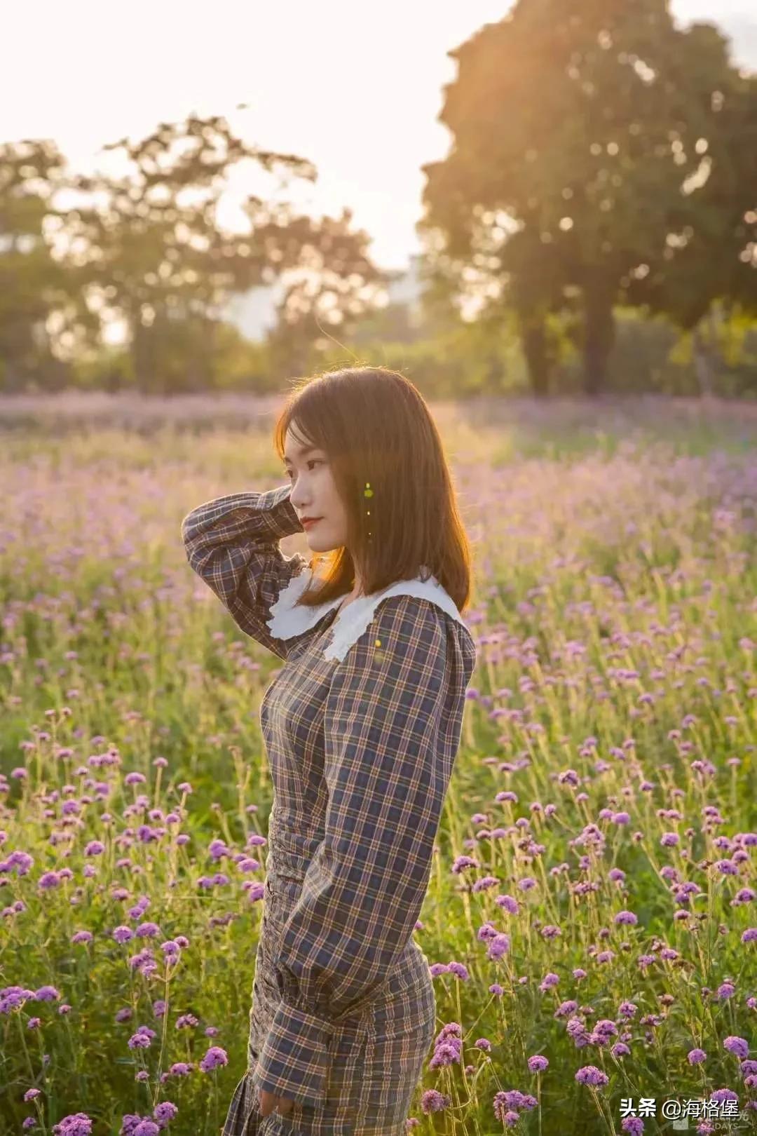 绱壊姊﹀够鑺辨捣鍏洯,娣卞湷鏅綏鏃烘柉2024绱壊鑺辨捣