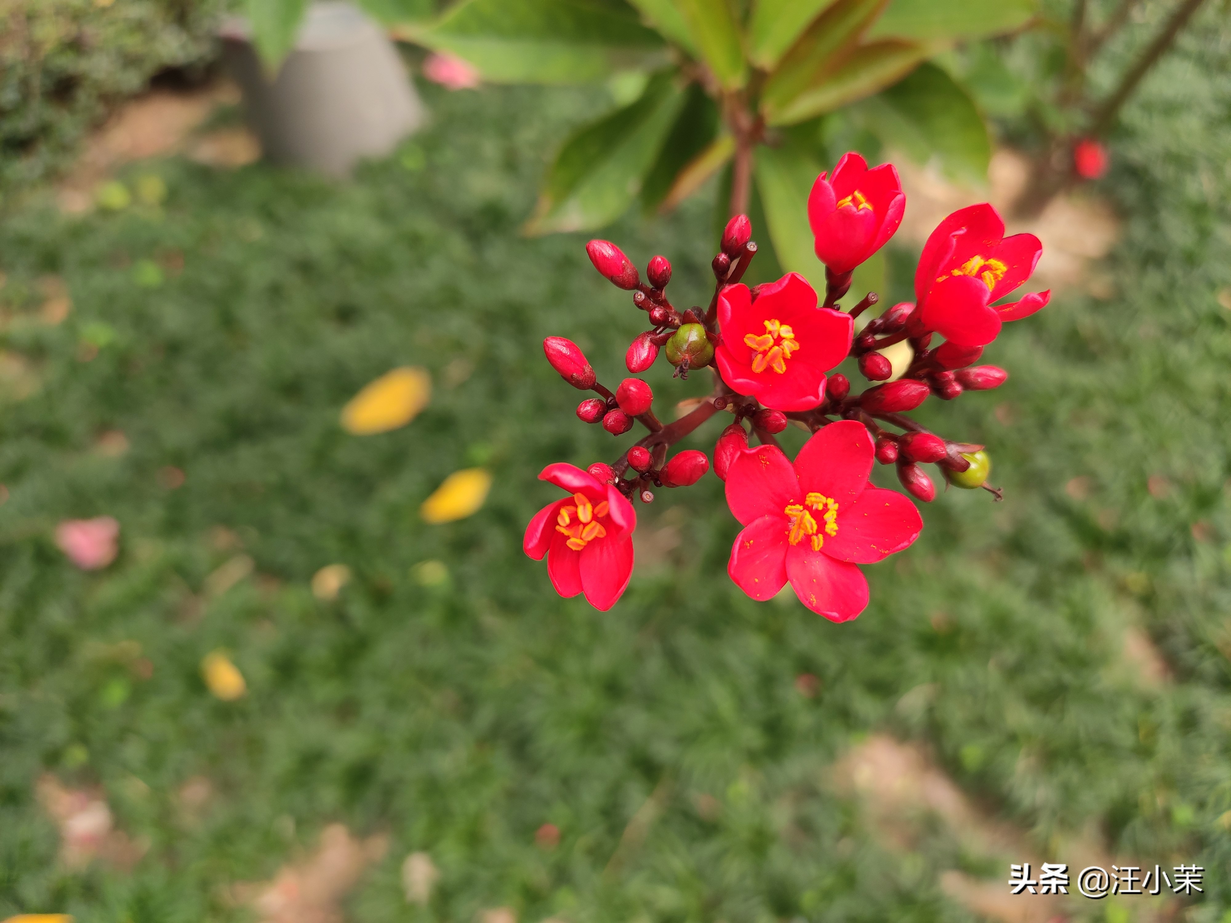 如何化解内心的压抑和焦虑,怎样不让自己压抑焦虑