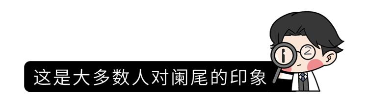 急性阑尾炎疼到什么程度,急性阑尾炎为什么那么急