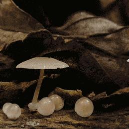 男性这些行为最伤身,男性生理都会出现哪些问题