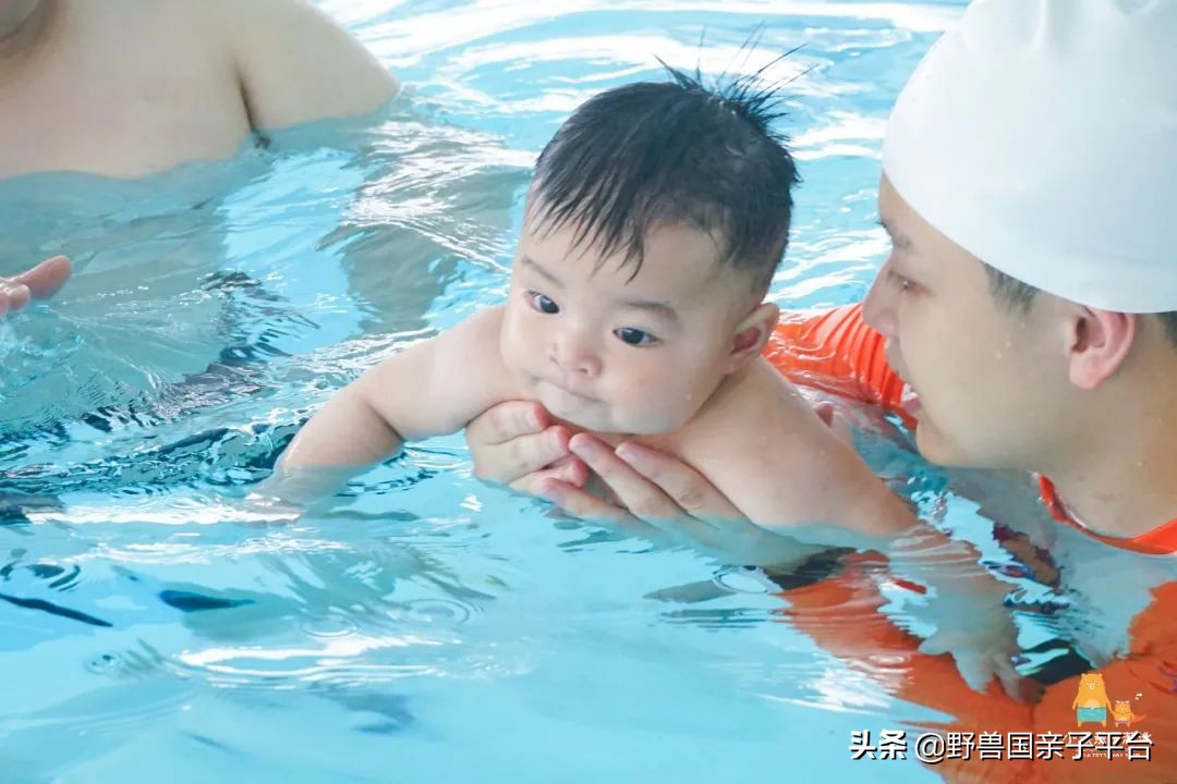 少儿篮球运动哪家好,权威少儿篮球兴趣班机构排名