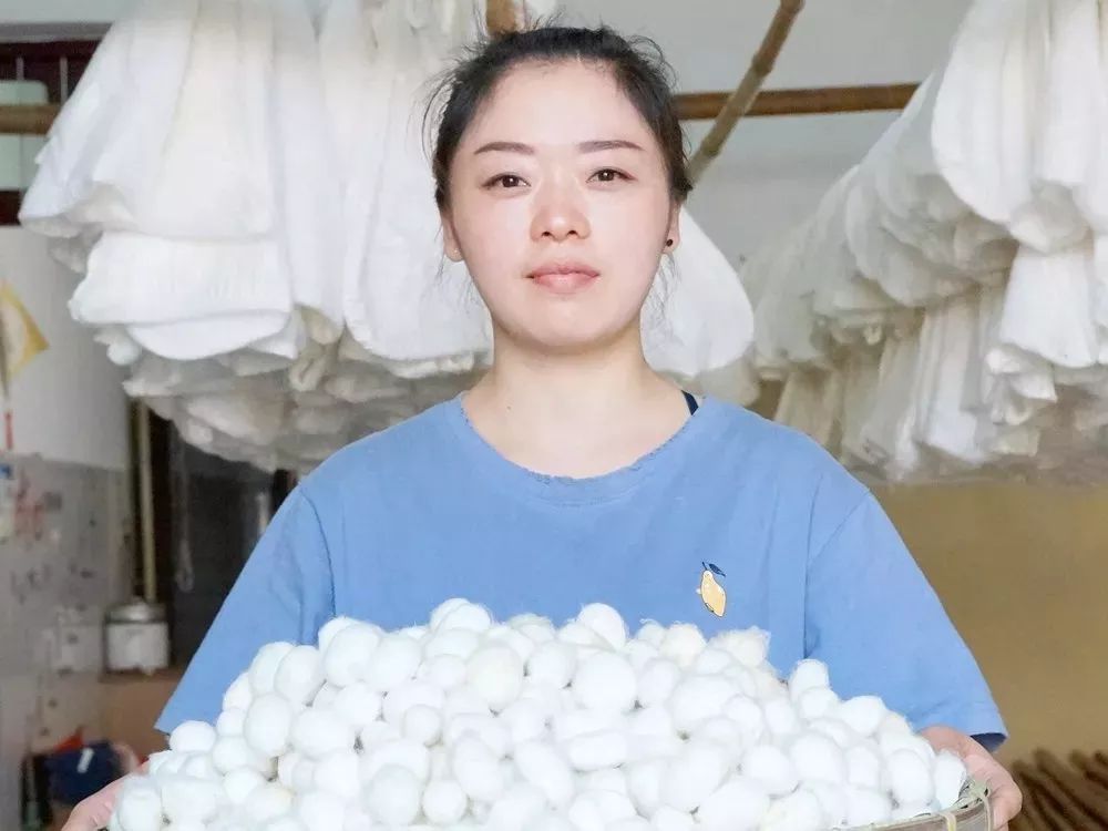 蚕丝的内幕,蚕丝被内幕曝光