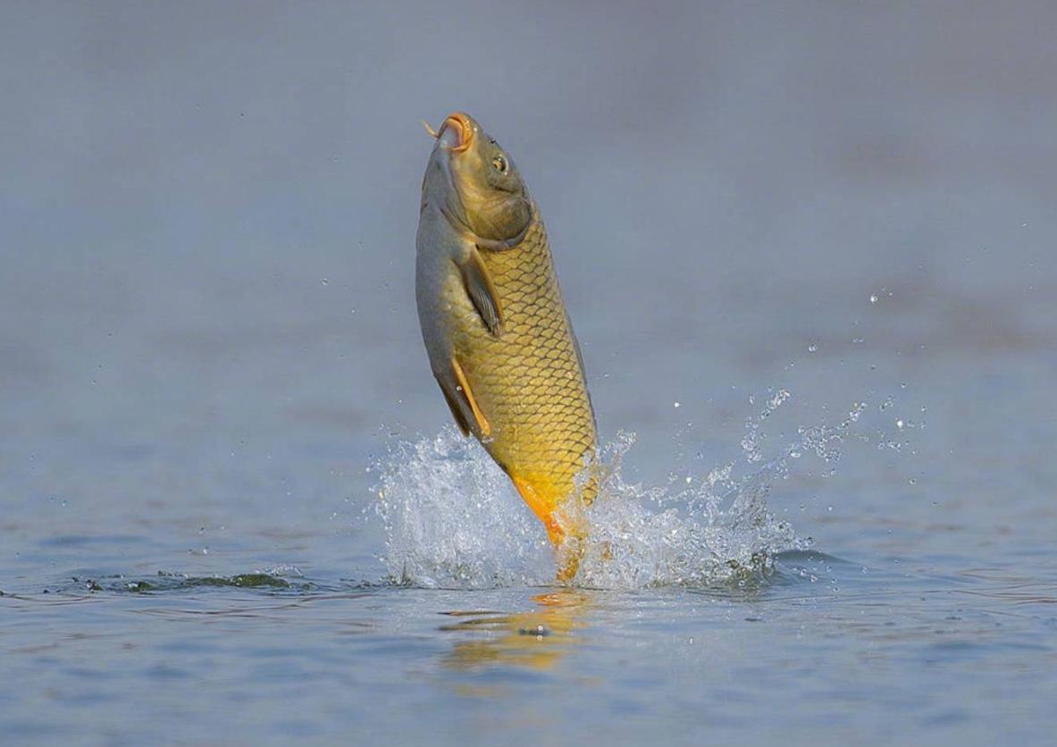 中国地区大地震死亡人数,中国所有地震死亡总人数