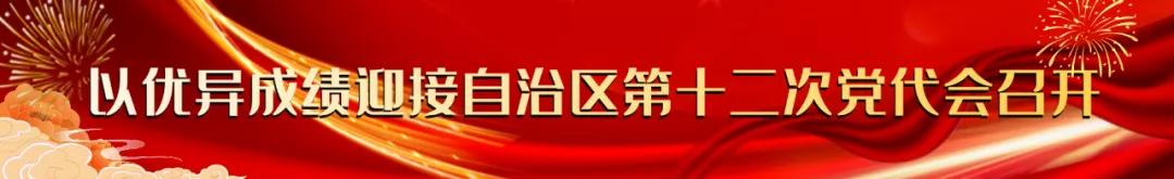 杨大东到相思洲,杨大东平南县委书记