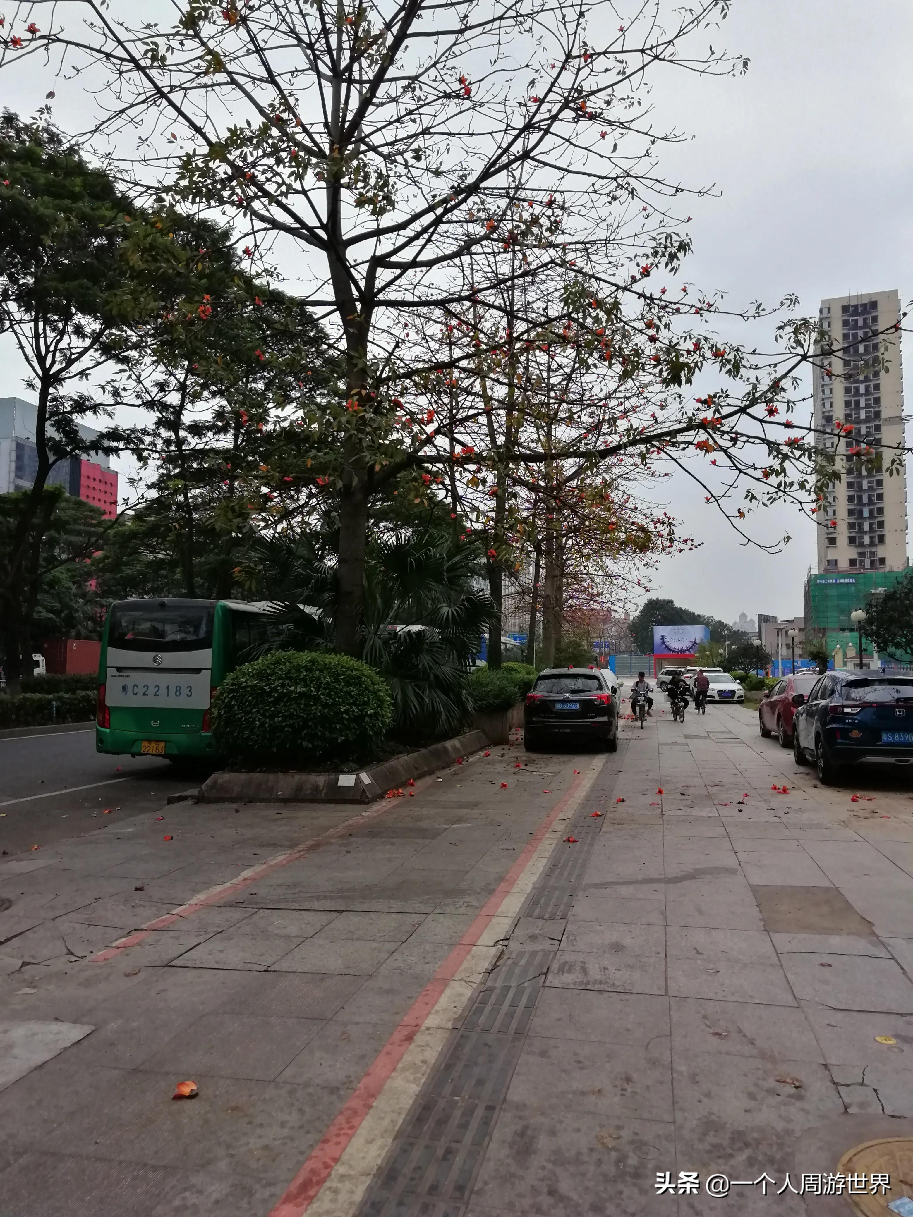 港澳游跟团旅游可以自己去吗,港澳旅游跟团游攻略