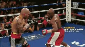 零基础自学散打方法,零基础学散打详细教程