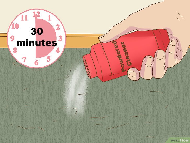 怎么消除宠物味道,如何清除室内宠物味道