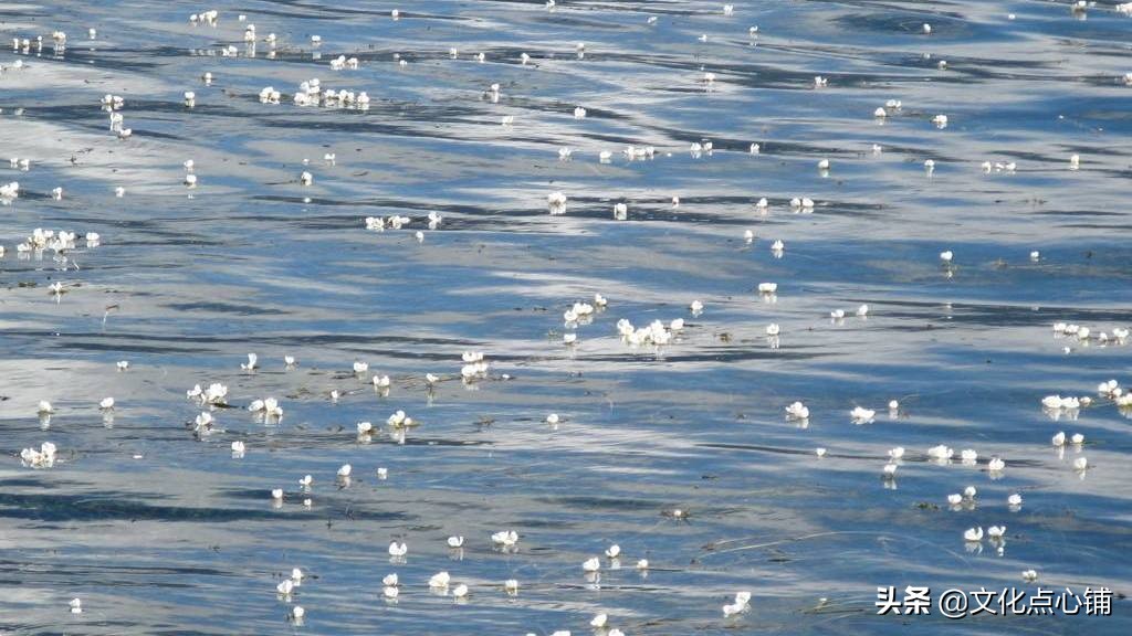 李白最好的十首七绝,李白大气磅礴七绝56字