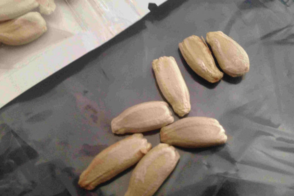 怎么简单在阳台上种葫芦,阳台种葫芦需要多大的盆