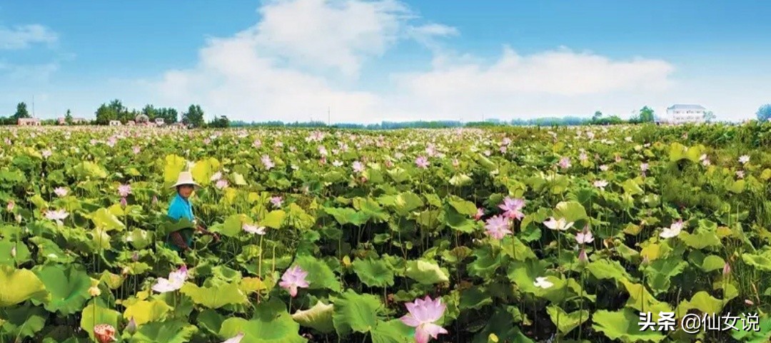 合肥北城还是长丰北城,合肥北城和肥西