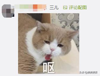 出道即巅峰顶级白富美一夜爆红,出道就巅峰女星