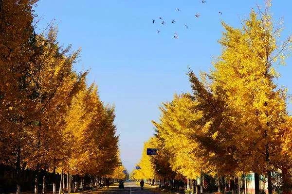 北京房山最美乡村项目,韩村河是中国十佳乡村吗