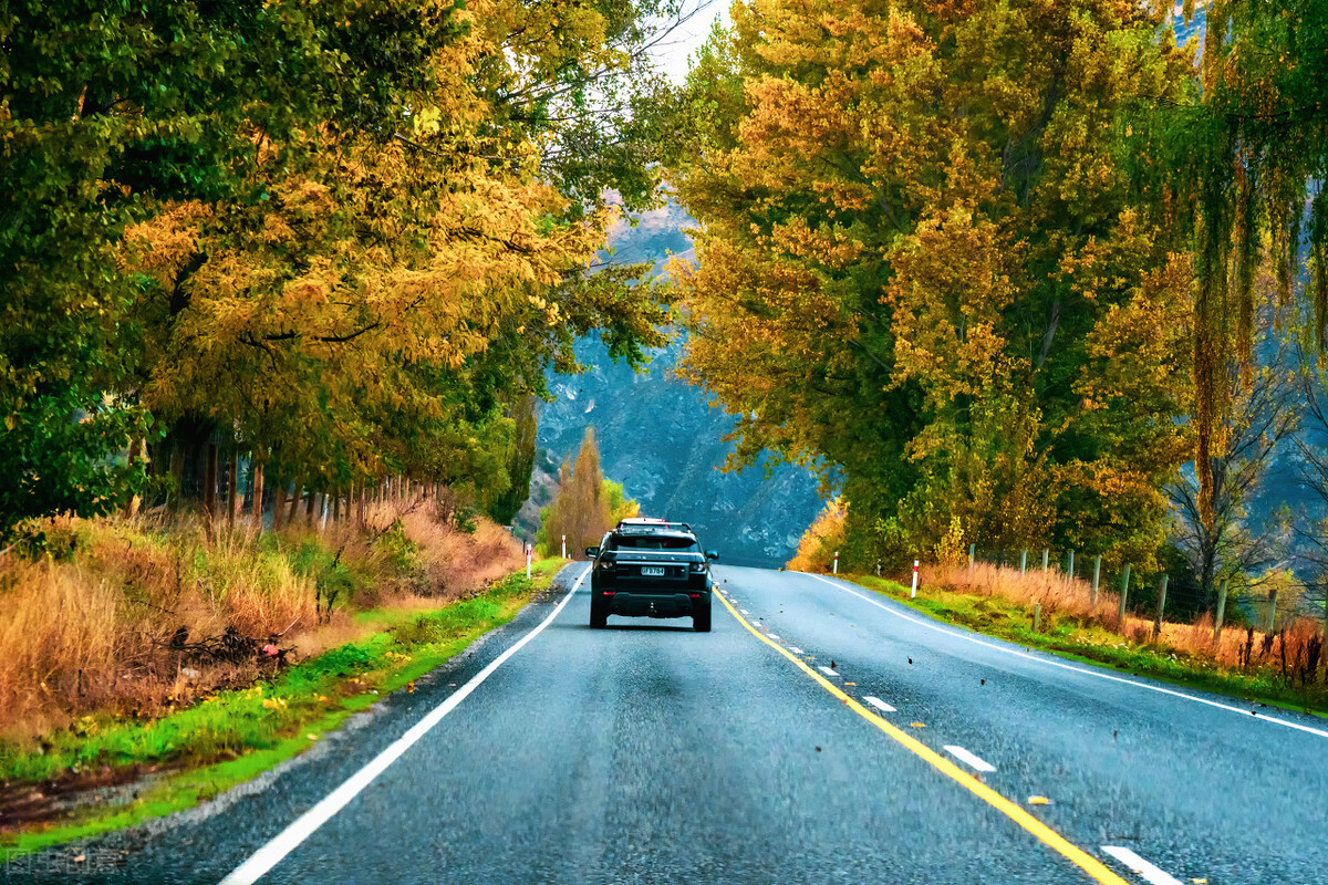 2022年实用的情感励志语录摘抄,情感创业语录句句刺痛人心