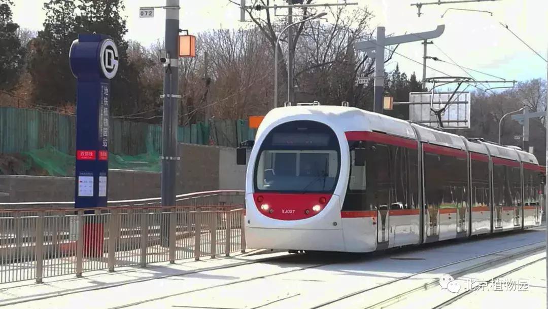 中国科学院植物研究所北京植物园,北京植物园有牡丹花还有什么花