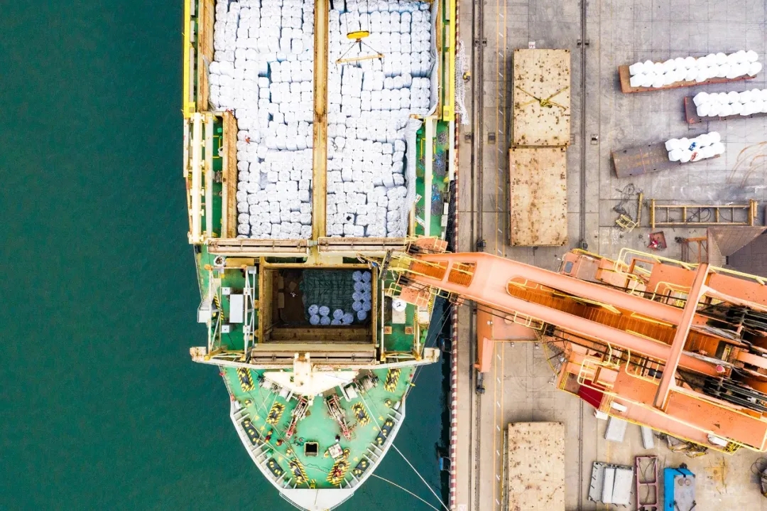 大沽口港区首次出口薄皮核桃、葵花籽