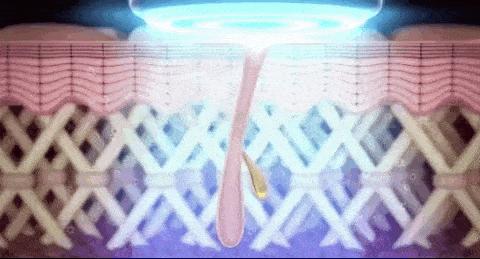 雅萌到底该怎么选,雅萌顶配值得入手吗