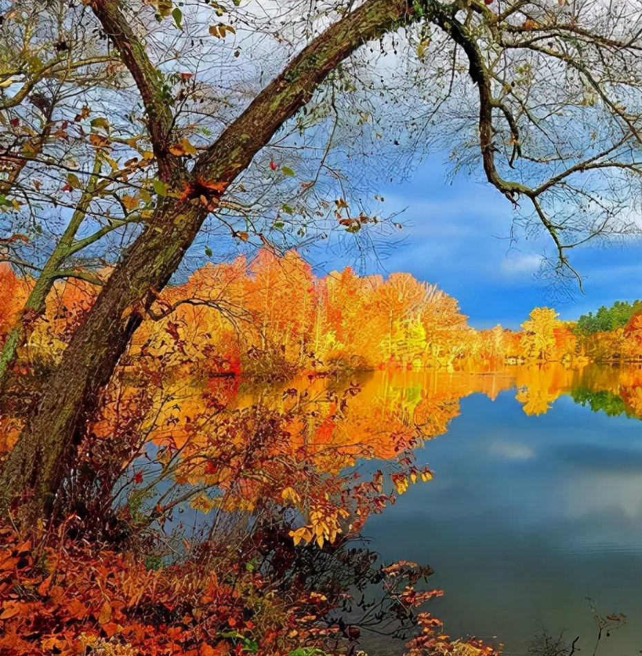 古诗野望的千古名句,《野望》诗词欣赏