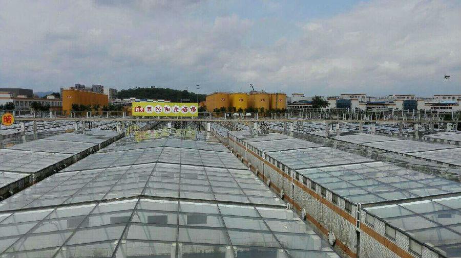 佛山的制造业100强有哪些企业,佛山制造业100强企业有哪些