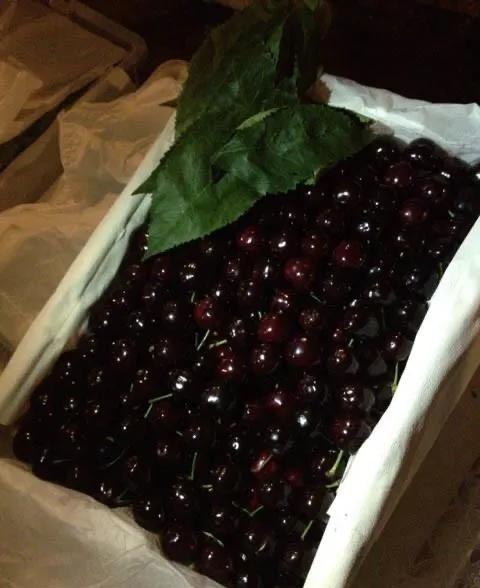 想吃水果的朋友看过来,爱吃水果的宝宝看过来