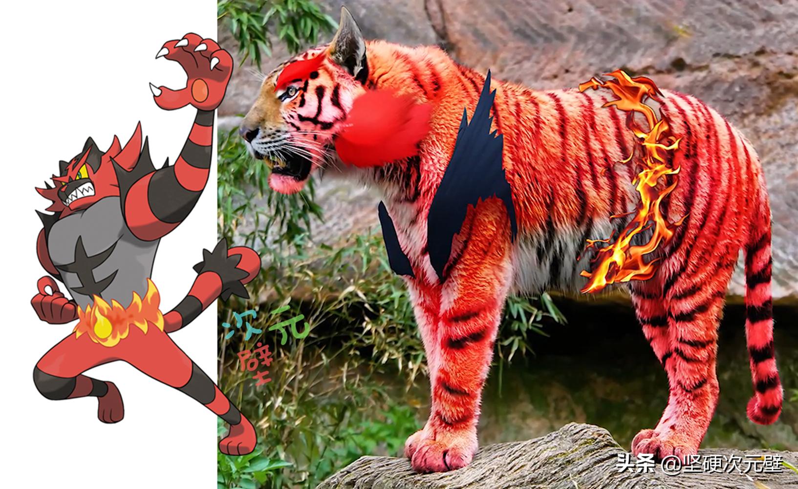 神奇宝贝喷火龙的进化史中文版,神奇宝贝火恐龙进化成了喷火龙