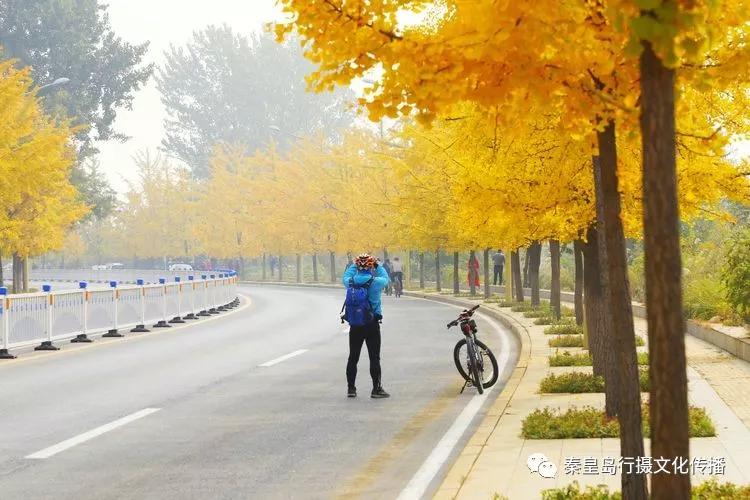 秦皇岛秋天美景,秦皇岛秋天落日和晚风