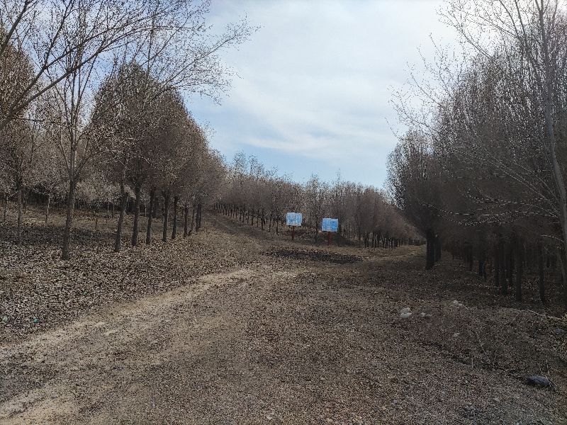 乌鲁木齐免费玩的地方运动场地,乌鲁木齐游玩适合烧烤的地方