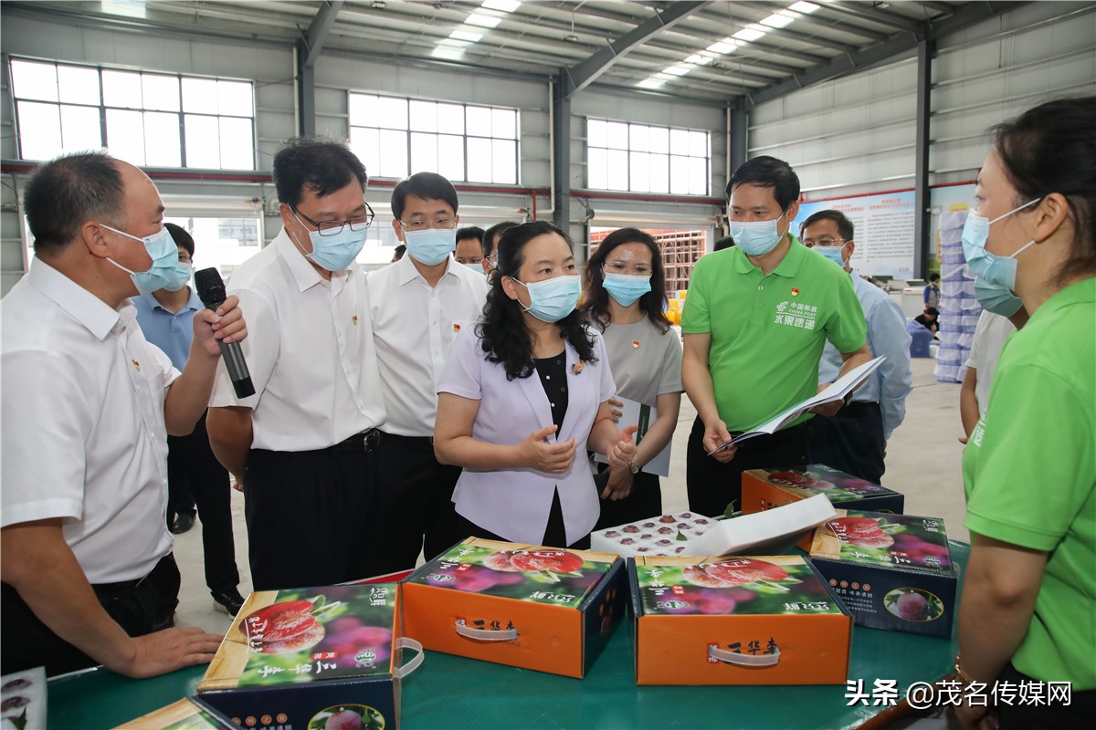 邮政推动乡村振兴的作用,邮政助力乡村振兴开场白